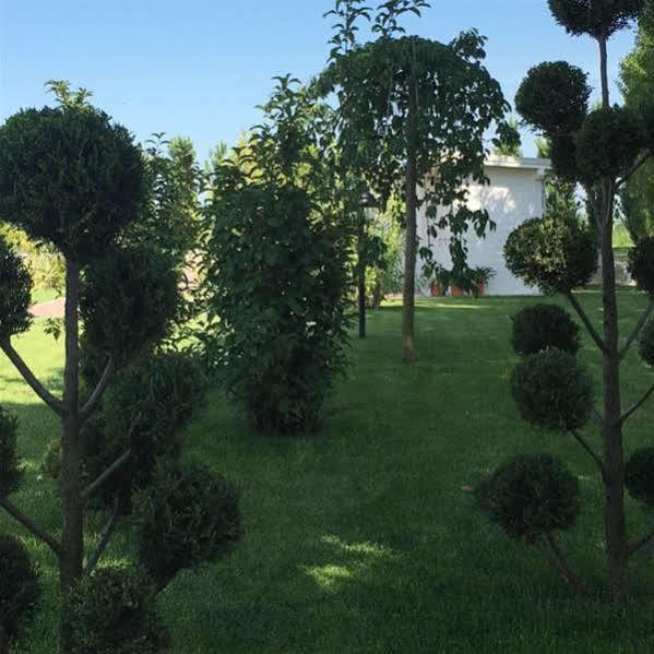 Hotel Bussana Porto Tolle Eksteriør bilde